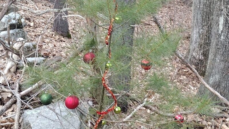 Mansfield Hollow State Park - Mansfield Center, CT