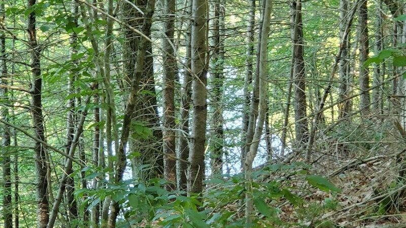 Mansfield Hollow State Park - Mansfield Center, CT