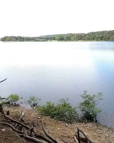 Mansfield Hollow State Park - Mansfield Center, CT