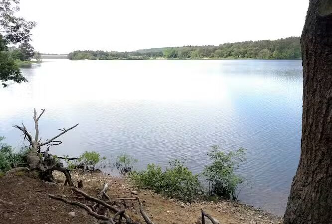 Mansfield Hollow State Park - Mansfield Center, CT