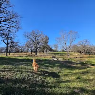 Mans Best Field Dog Park - Mansfield, TX