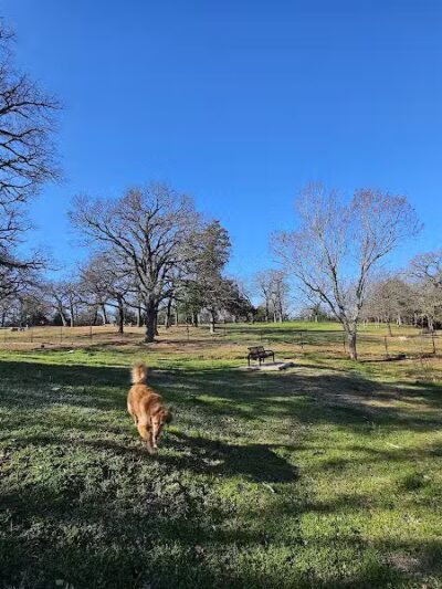 Mans Best Field Dog Park - Mansfield, TX