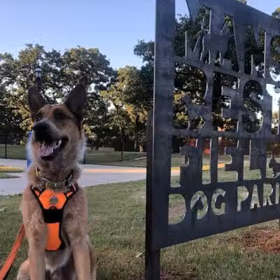 Mans Best Field Dog Park - Mansfield, TX