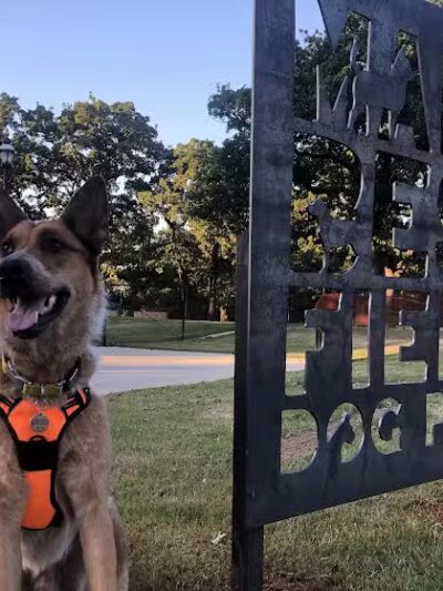 Mans Best Field Dog Park - Mansfield, TX