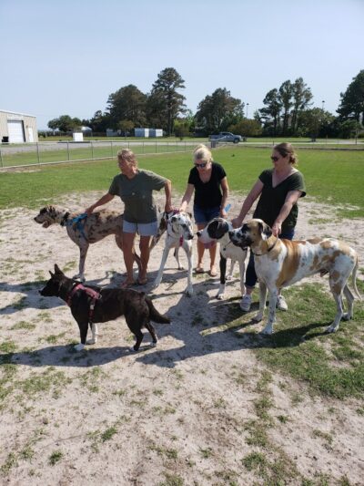 Roanoke Island Dog Park - Manteo, NC