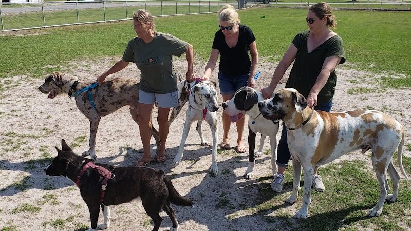 Roanoke Island Dog Park - Manteo, NC