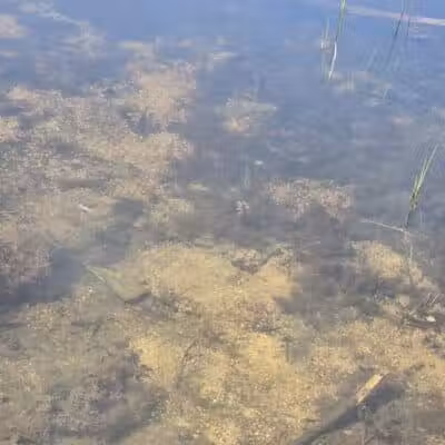 Manville Memorial Park - Manville, RI
