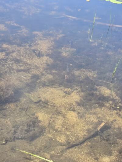 Manville Memorial Park - Manville, RI