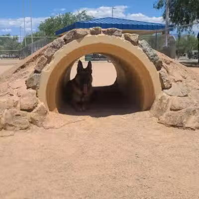 Crossroads at Silverbell District Park - Dog Park - Marana, AZ