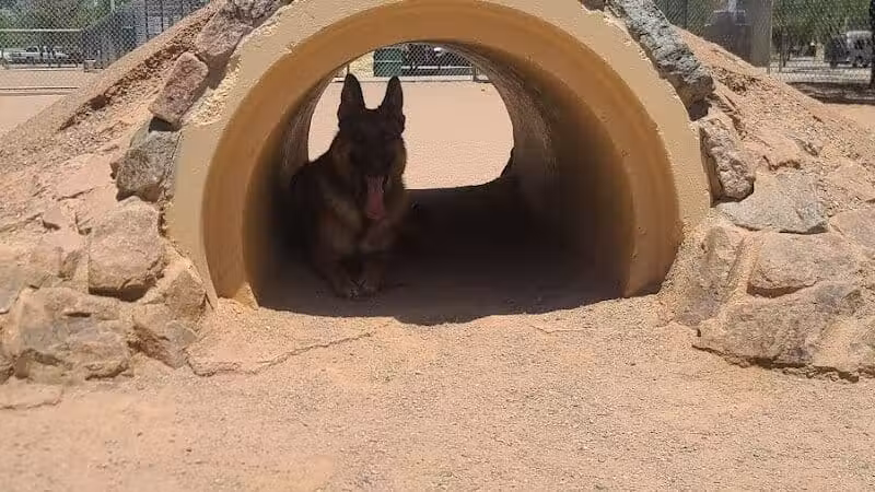 Crossroads at Silverbell District Park - Dog Park - Marana, AZ