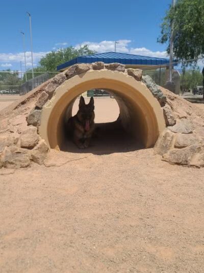 Crossroads at Silverbell District Park - Dog Park - Marana, AZ
