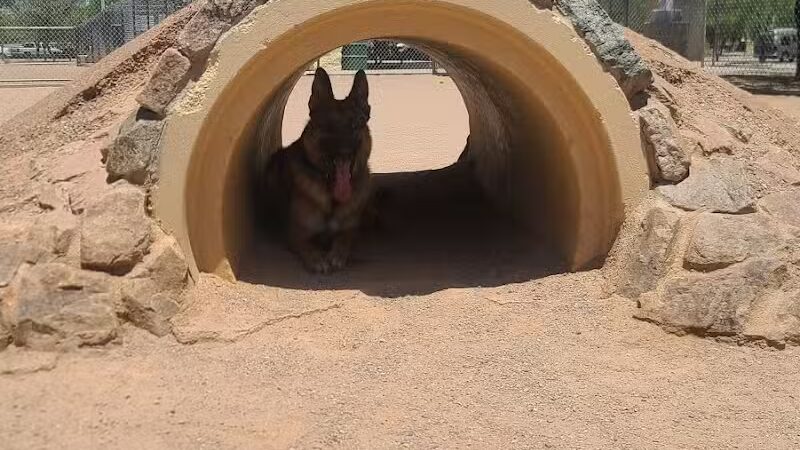 Crossroads at Silverbell District Park - Dog Park - Marana, AZ