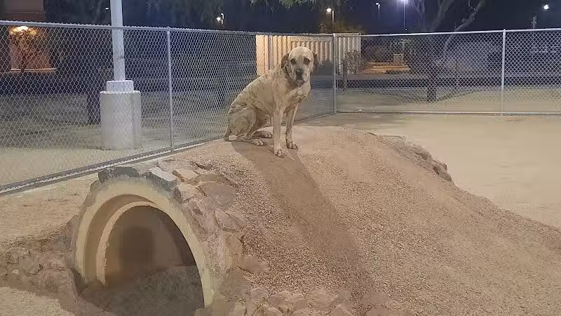 Crossroads at Silverbell District Park - Dog Park - Marana, AZ