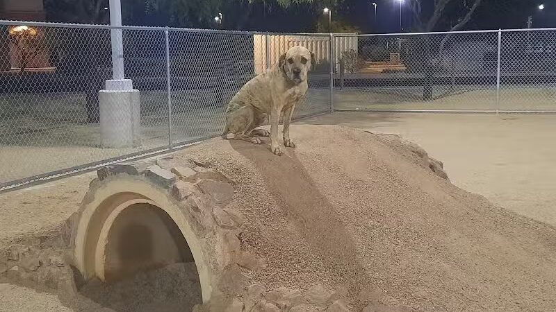 Crossroads at Silverbell District Park - Dog Park - Marana, AZ