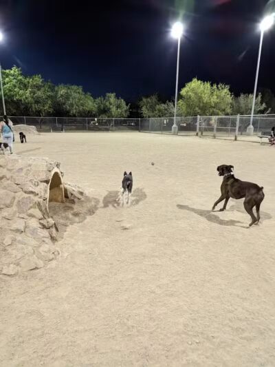 Crossroads at Silverbell District Park - Dog Park - Marana, AZ