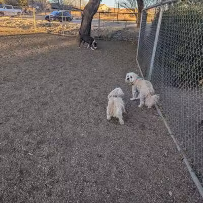 San Lucas Community Park - Dog Park - Marana, AZ