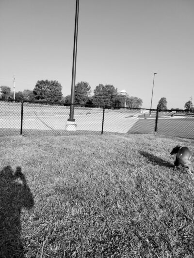 Dog Park at Love's Travel Stops - Marion, IL