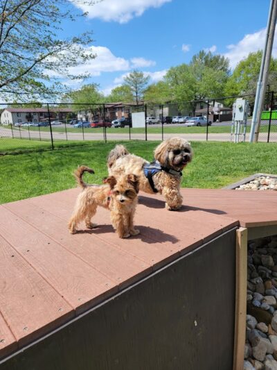 Marion Park District - THE Bark Park - Marion, IL