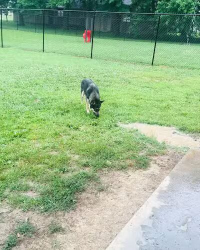 Marion Park District - THE Bark Park - Marion, IL