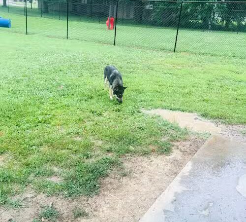 Marion Park District - THE Bark Park - Marion, IL