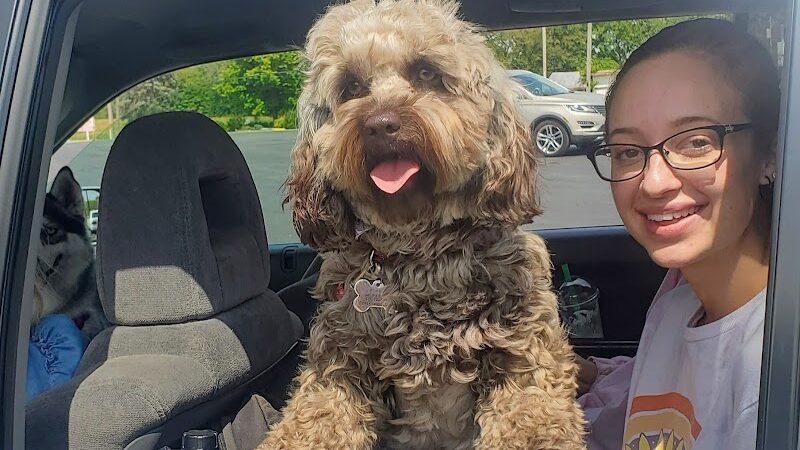 Kaufman Dog Park - Marion, OH