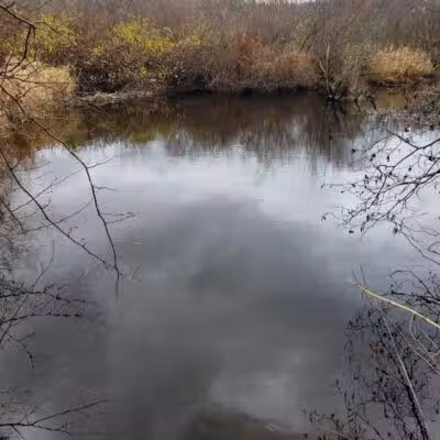 Blackledge River Greenway Trail - Marlborough, CT