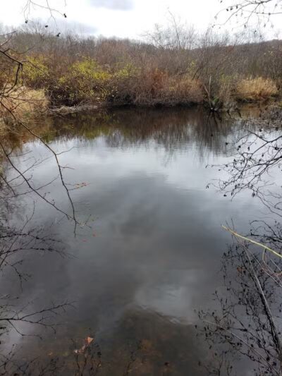 Blackledge River Greenway Trail - Marlborough, CT