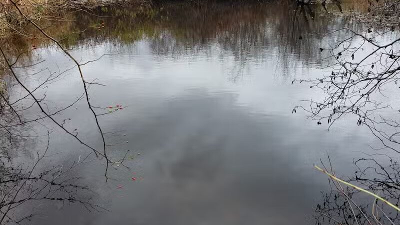 Blackledge River Greenway Trail - Marlborough, CT