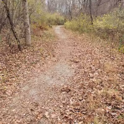 Blackledge River Greenway Trail - Marlborough, CT