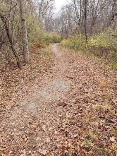 Blackledge River Greenway Trail - Marlborough, CT