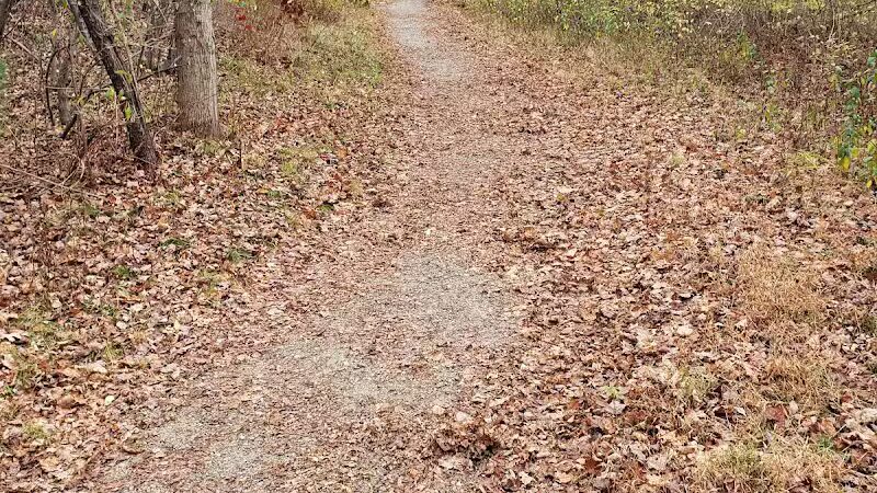 Blackledge River Greenway Trail - Marlborough, CT