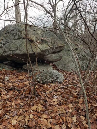 Blackledge River Greenway Trail - Marlborough, CT
