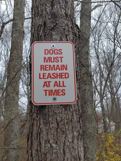 Blackledge River Greenway Trail - Marlborough, CT