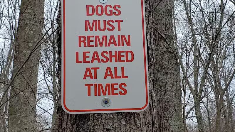 Blackledge River Greenway Trail - Marlborough, CT