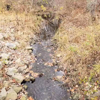 Blackledge River Greenway Trail - Marlborough, CT
