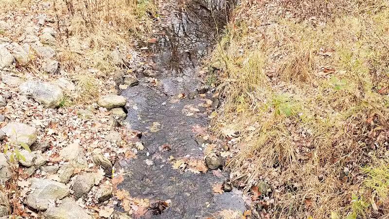 Blackledge River Greenway Trail - Marlborough, CT