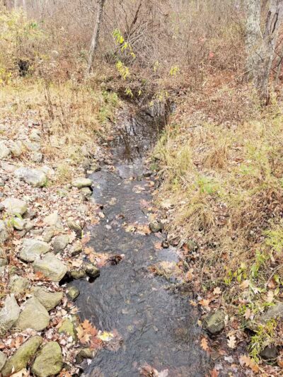 Blackledge River Greenway Trail - Marlborough, CT
