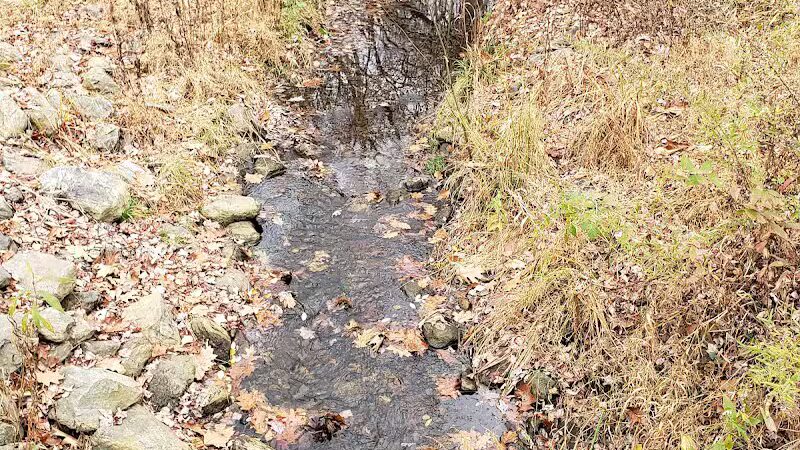 Blackledge River Greenway Trail - Marlborough, CT