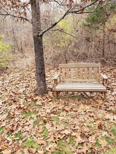 Blackledge River Greenway Trail - Marlborough, CT