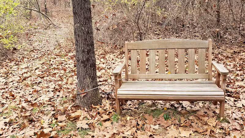 Blackledge River Greenway Trail - Marlborough, CT