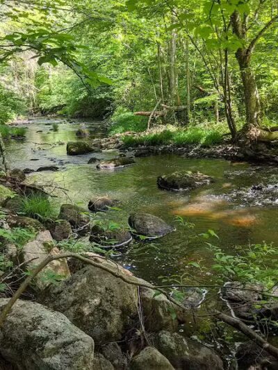Blackledge River Greenway Trail - Marlborough, CT