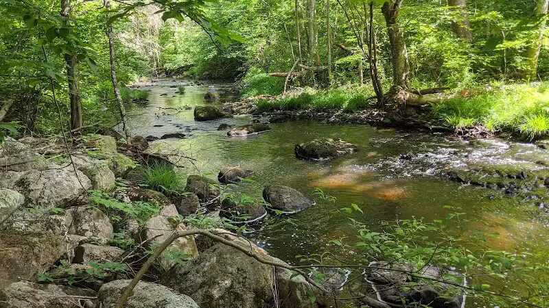 Blackledge River Greenway Trail - Marlborough, CT