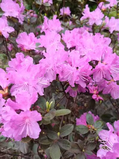 Blish Memorial Park - Marlborough, CT