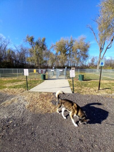 Eagle Dog Park - Marquette Heights, IL