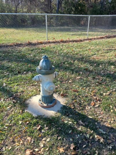 Eagle Dog Park - Marquette Heights, IL