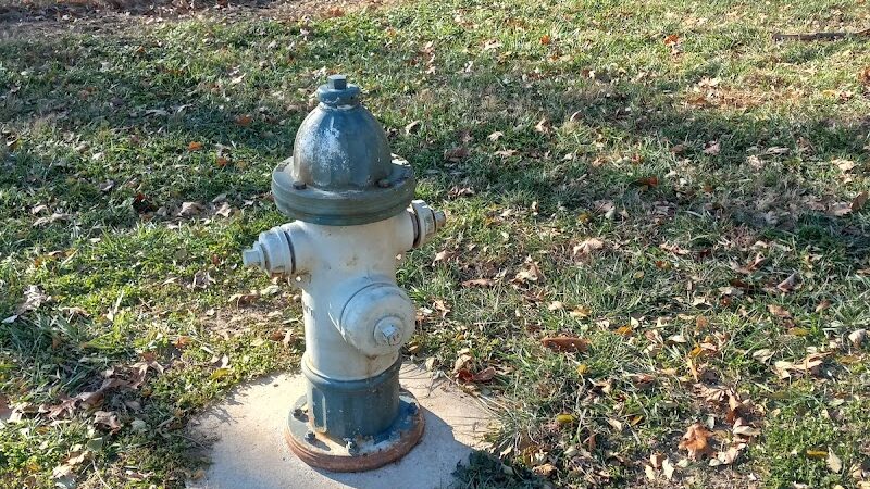 Eagle Dog Park - Marquette Heights, IL