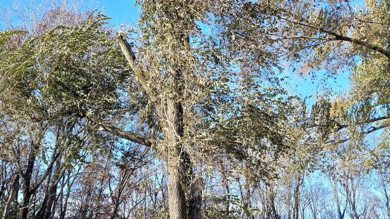 Eagle Dog Park - Marquette Heights, IL