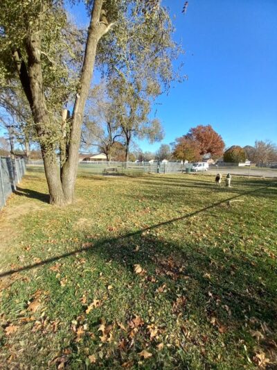 Eagle Dog Park - Marquette Heights, IL