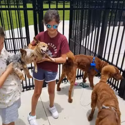 Parc des Familles Dog Park - Marrero, LA