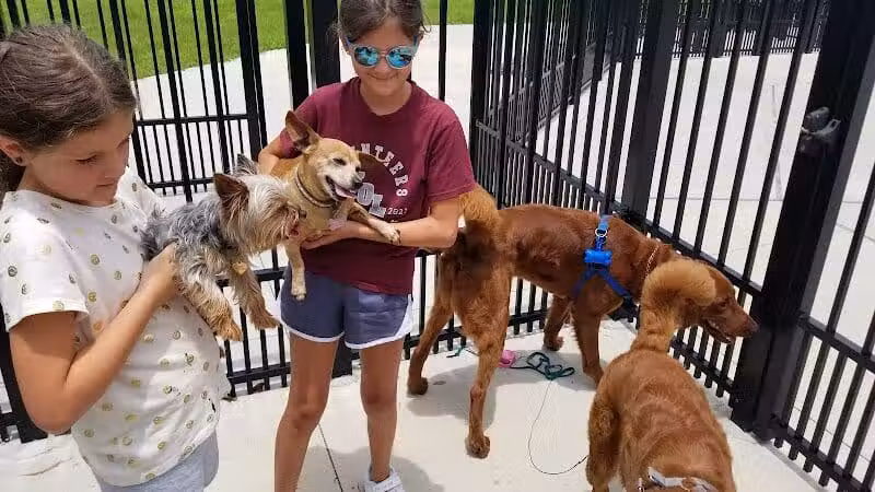 Parc des Familles Dog Park - Marrero, LA